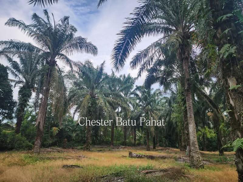 Tanah Pertanian untuk Dijual di Kampung Bindu (Batu Pahat) - ZG Law - Exterior - PropertyGuru.com.my