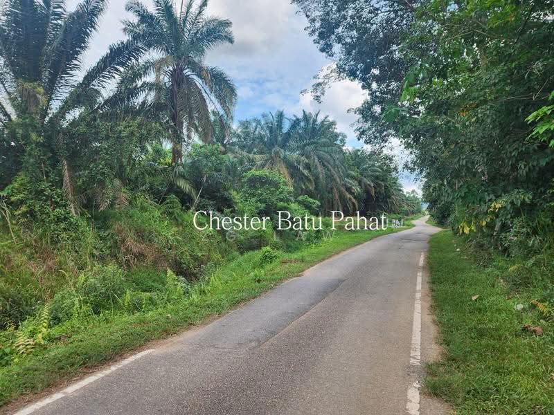 Tanah Pertanian untuk Dijual di Kampung Bindu (Batu Pahat) - ZG Law - Exterior - PropertyGuru.com.my