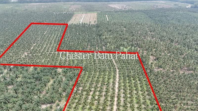 Tanah Pertanian untuk Dijual di Kampung Minyak Beku (Senggarang) - ZG Law - PropertyGuru.com.my