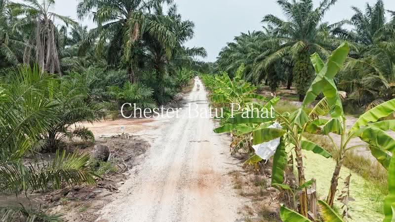 Tanah Pertanian untuk Dijual di Kampung Minyak Beku (Senggarang) - ZG Law - Exterior - PropertyGuru.com.my
