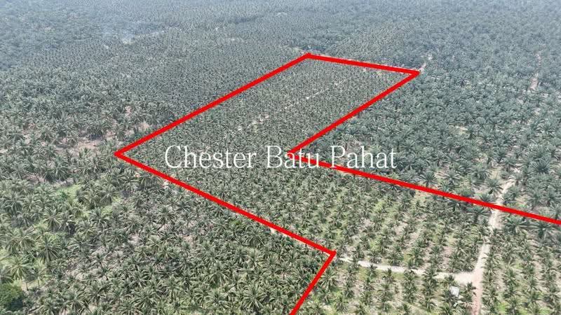 Tanah Pertanian untuk Dijual di Kampung Minyak Beku (Senggarang) - ZG Law - PropertyGuru.com.my