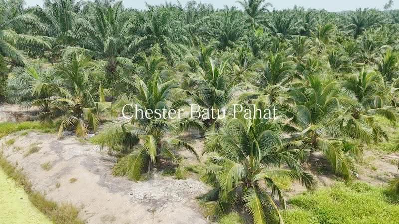 Tanah Pertanian untuk Dijual di Kampung Minyak Beku (Senggarang) - ZG Law - PropertyGuru.com.my