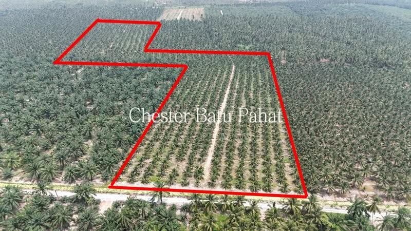 Tanah Pertanian untuk Dijual di Kampung Minyak Beku (Senggarang) - ZG Law - PropertyGuru.com.my