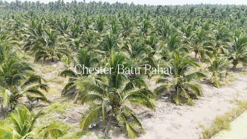 Tanah Pertanian untuk Dijual di Kampung Minyak Beku (Senggarang) - ZG Law - Exterior - PropertyGuru.com.my