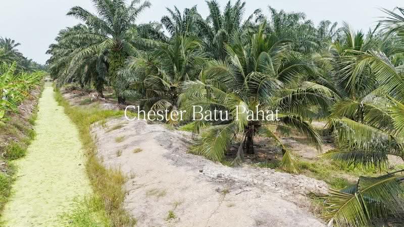 Tanah Pertanian untuk Dijual di Kampung Minyak Beku (Senggarang) - ZG Law - Exterior - PropertyGuru.com.my