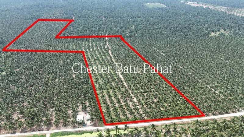 Tanah Pertanian untuk Dijual di Kampung Minyak Beku (Senggarang) - ZG Law - Exterior - PropertyGuru.com.my