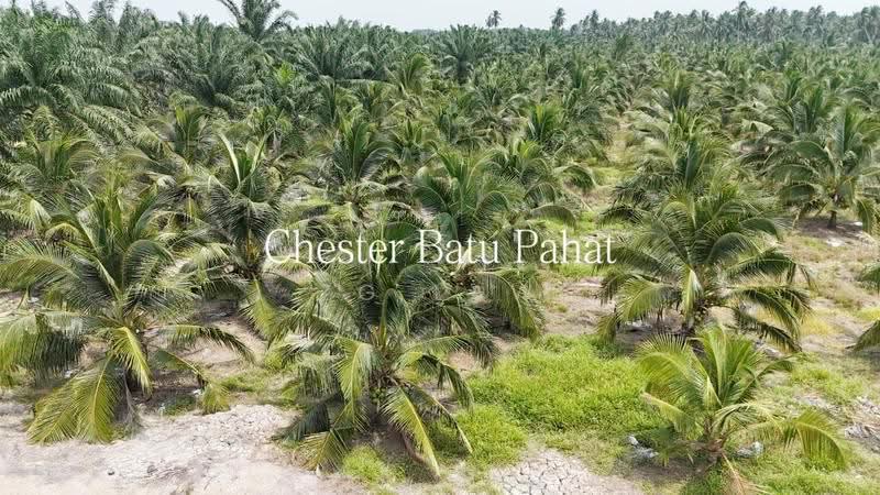 Tanah Pertanian untuk Dijual di Kampung Minyak Beku (Senggarang) - ZG Law - Exterior - PropertyGuru.com.my