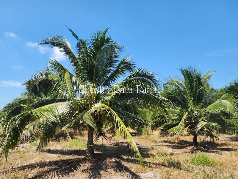 Tanah Pertanian untuk Dijual di Kampung Minyak Beku (Senggarang) - ZG Law - Exterior - PropertyGuru.com.my