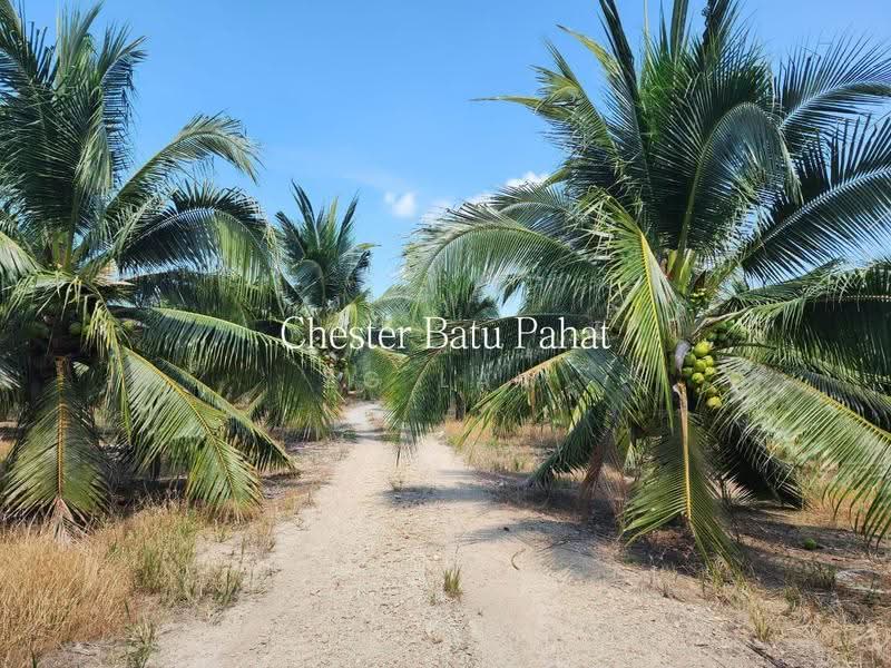 Tanah Pertanian untuk Dijual di Kampung Minyak Beku (Senggarang) - ZG Law - Exterior - PropertyGuru.com.my