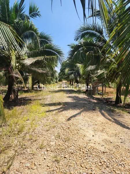 Tanah Pertanian untuk Dijual di Kampung Minyak Beku (Senggarang) - ZG Law - Exterior - PropertyGuru.com.my