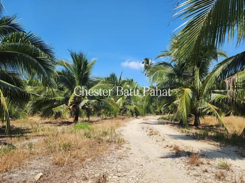 Tanah Pertanian untuk Dijual di Kampung Minyak Beku (Senggarang) - ZG Law - Exterior - PropertyGuru.com.my