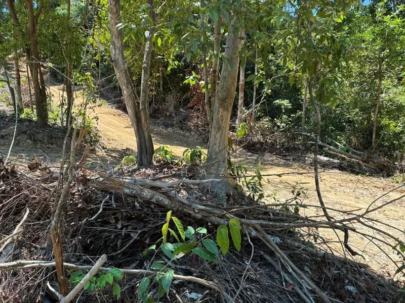 Tanah Pertanian untuk Dijual di Lenggeng (Negeri Sembilan) - Amru Alhaz Adnan - Exterior - PropertyGuru.com.my