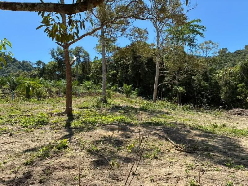 Tanah Pertanian untuk Dijual di Lenggeng (Negeri Sembilan) - Amru Alhaz Adnan - Garden - PropertyGuru.com.my