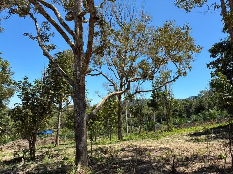 Tanah Pertanian untuk Dijual di Lenggeng (Negeri Sembilan) - Amru Alhaz Adnan - PropertyGuru.com.my
