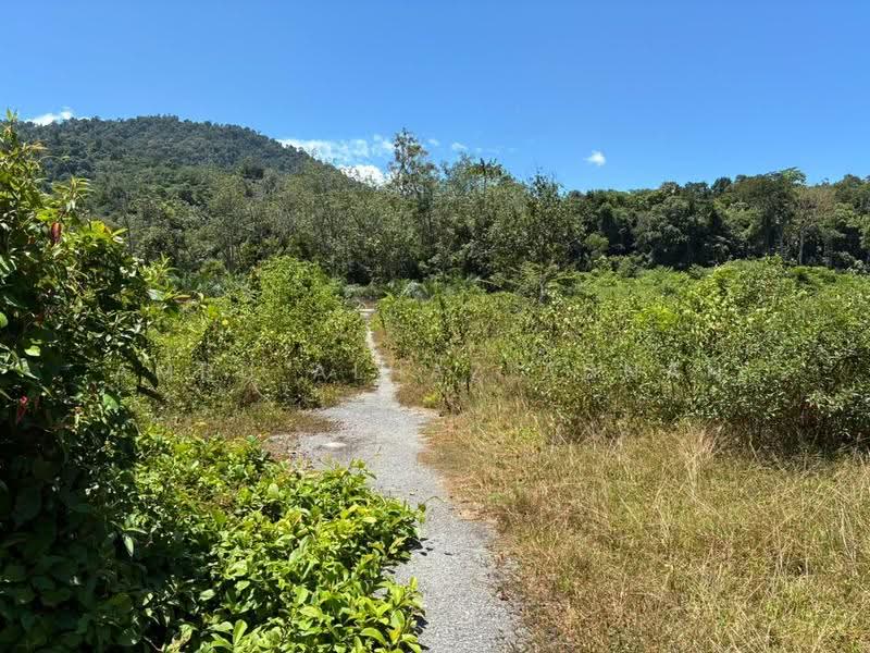 Agricultural Land for Sale in Kelusau (Lenggeng) - Amru Alhaz Adnan - Exterior - PropertyGuru.com.my