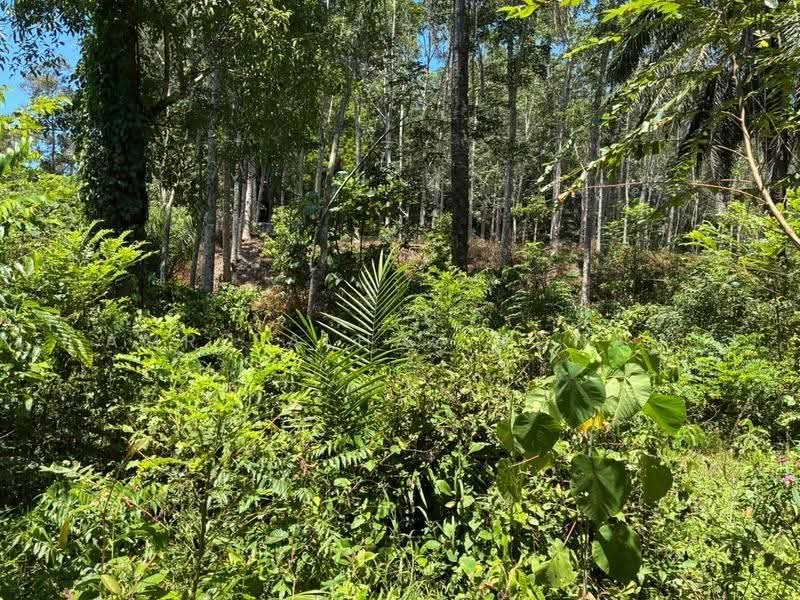Agricultural Land for Sale in Kelusau (Lenggeng) - Amru Alhaz Adnan - Exterior - PropertyGuru.com.my