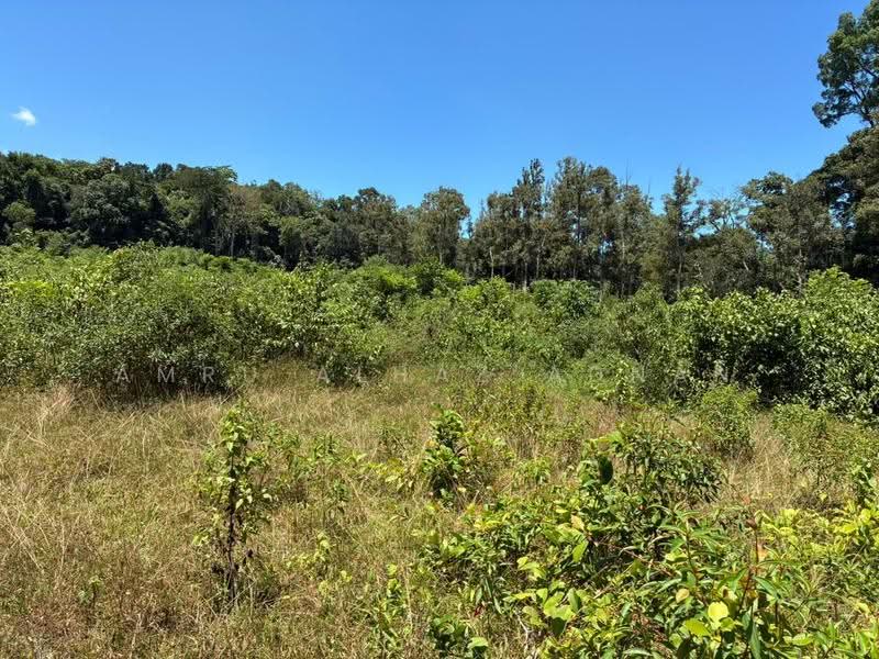 Agricultural Land for Sale in Kelusau (Lenggeng) - Amru Alhaz Adnan - Exterior - PropertyGuru.com.my