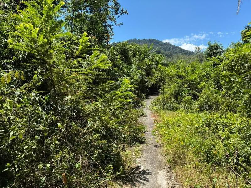 Agricultural Land for Sale in Kelusau (Lenggeng) - Amru Alhaz Adnan - Exterior - PropertyGuru.com.my