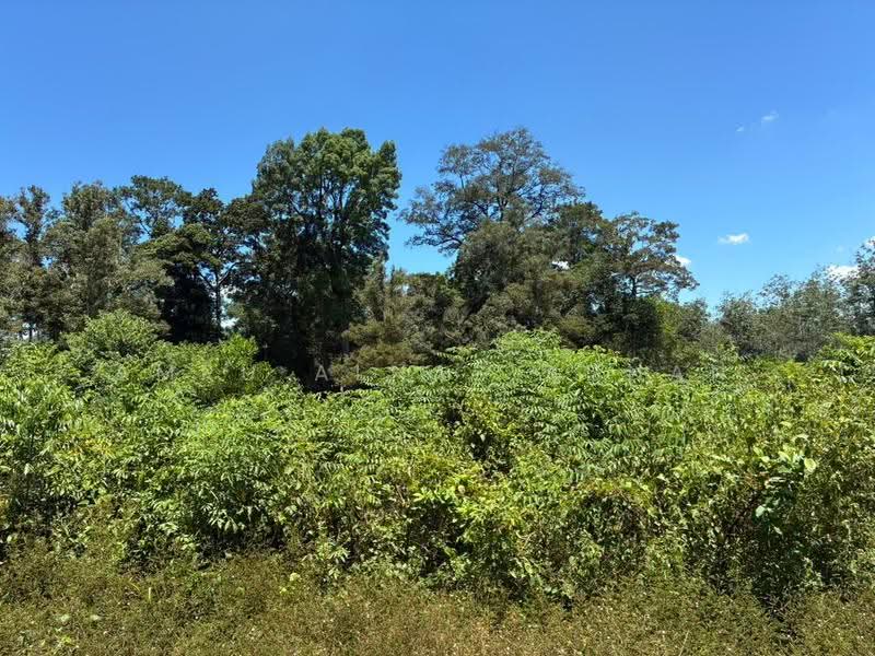 Agricultural Land for Sale in Kelusau (Lenggeng) - Amru Alhaz Adnan - Exterior - PropertyGuru.com.my