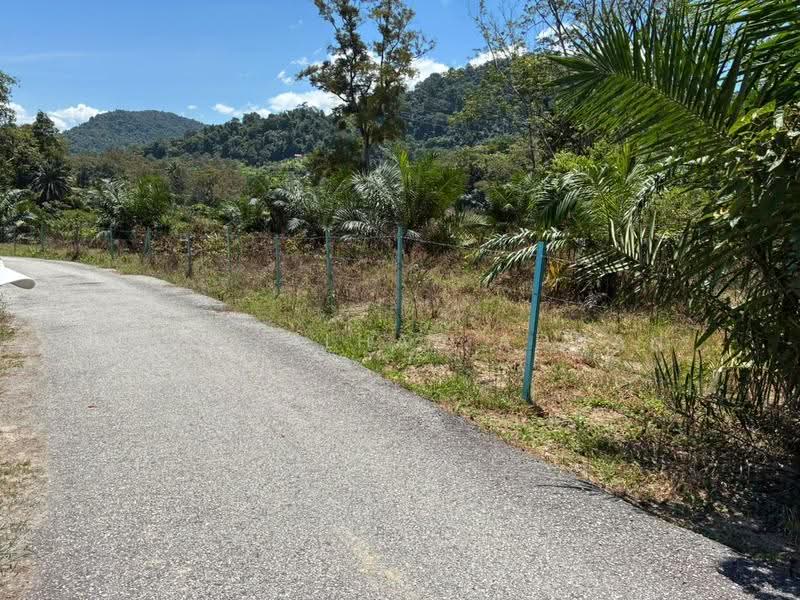 Agricultural Land for Sale in Kelusau (Lenggeng) - Amru Alhaz Adnan - Exterior - PropertyGuru.com.my