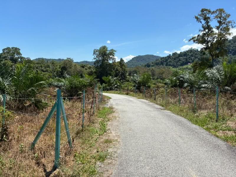 Agricultural Land for Sale in Kelusau (Lenggeng) - Amru Alhaz Adnan - Exterior - PropertyGuru.com.my