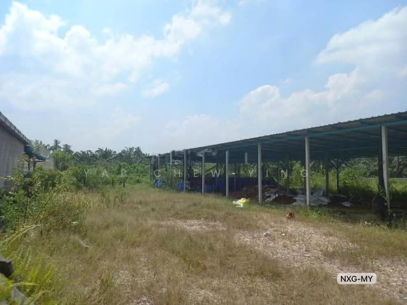Agricultural Land for Sale in Jeram (Selangor) - Yap Chew Ying - PropertyGuru.com.my