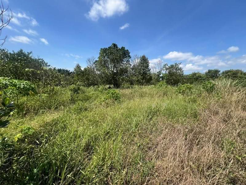 Agricultural Land for Sale in Kluang (Johor) - Jessie Tan - Garden - PropertyGuru.com.my