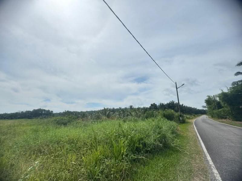 Agricultural Land for Sale in Kluang (Johor) - Jessie Tan - Exterior - PropertyGuru.com.my