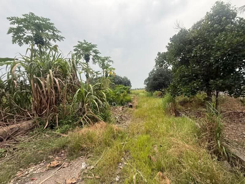 Industrial Land for Rent in Tasek Gelugor (Penang) - Amanda Lam - Exterior - PropertyGuru.com.my