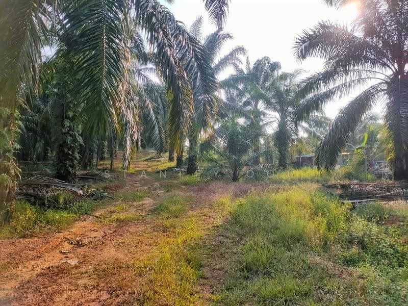 Tanah Pertanian untuk Dijual di Port Dickson (Negeri Sembilan) - Stanley Ooi - Garden - PropertyGuru.com.my