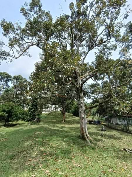 Agricultural Land for Sale in Seksyen U15 (Shah Alam) - NUZULHAKIMI . - Exterior - PropertyGuru.com.my