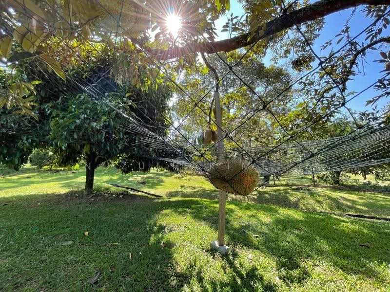 Agricultural Land for Sale in Seksyen U15 (Shah Alam) - NUZULHAKIMI . - Garden - PropertyGuru.com.my