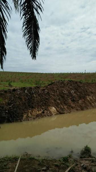 Tanah Pertanian untuk Dijual di Sungai Petani (Kedah) - David Low - Exterior - PropertyGuru.com.my