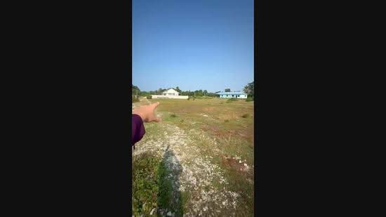 Residential Land for Sale in Kuantan (Pahang) - Izzat Azman - PropertyGuru.com.my