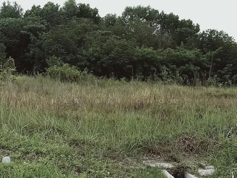 Industrial Land for Rent in Shah Alam (Selangor) - Han Wai Chow - Exterior - PropertyGuru.com.my
