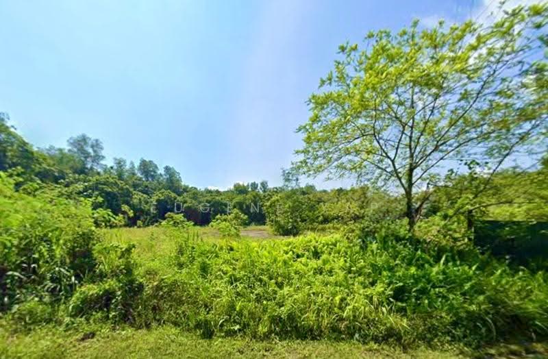 Agricultural Land for Sale in Rasa (Selangor) - Eugene Yap - Exterior - PropertyGuru.com.my