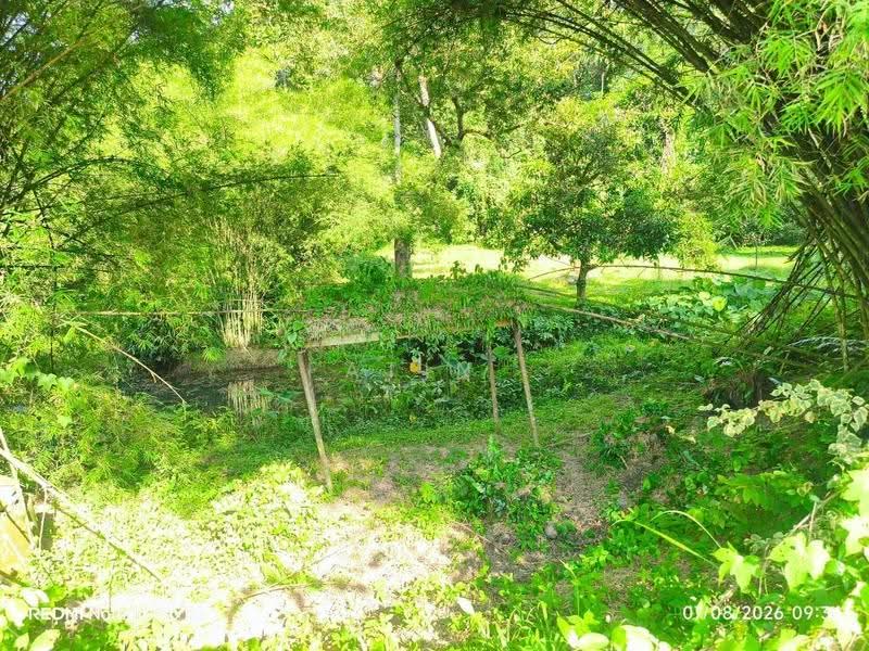 Bungalow House untuk Dijual di Taman Gopeng (Ipoh) - Fatin . - Garden - PropertyGuru.com.my