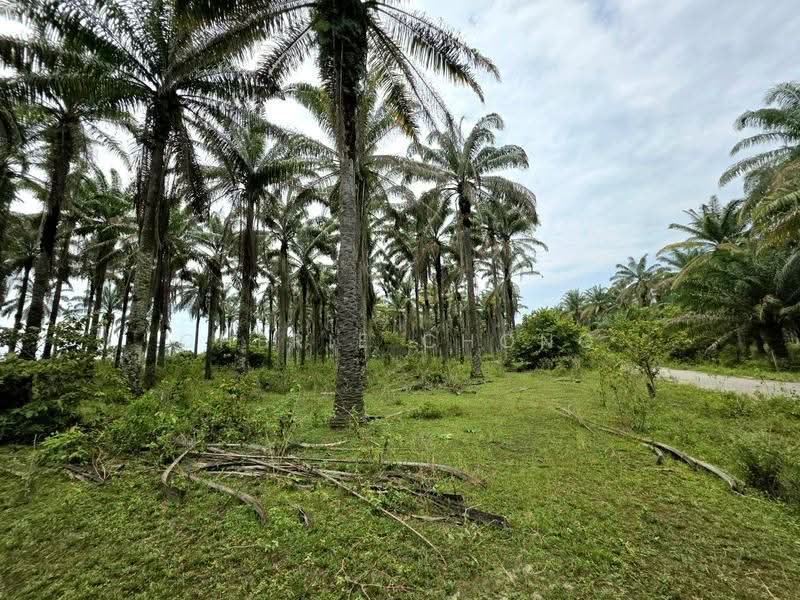 Tanah Pertanian untuk Dijual di Gopeng Country Park (Gopeng) - Cherie Chong - Exterior - PropertyGuru.com.my