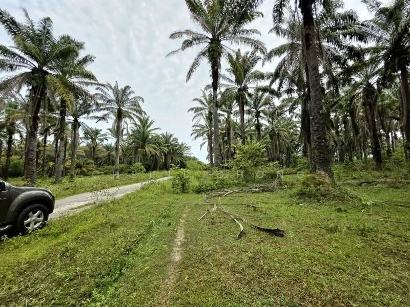 Tanah Pertanian untuk Dijual di Gopeng Country Park (Gopeng) - Cherie Chong - Exterior - PropertyGuru.com.my