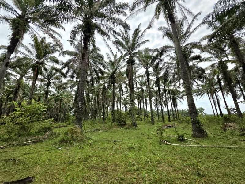 Tanah Pertanian untuk Dijual di Gopeng Country Park (Gopeng) - Cherie Chong - Exterior - PropertyGuru.com.my