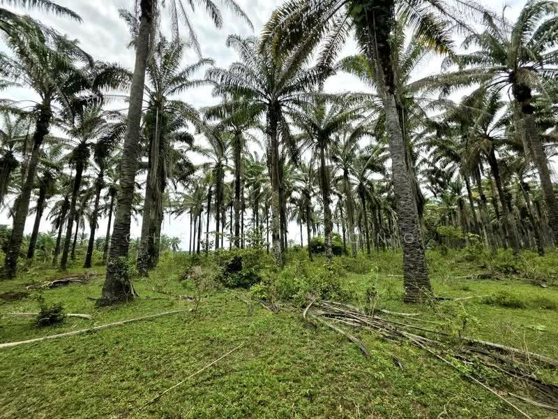 Tanah Pertanian untuk Dijual di Gopeng Country Park (Gopeng) - Cherie Chong - Exterior - PropertyGuru.com.my