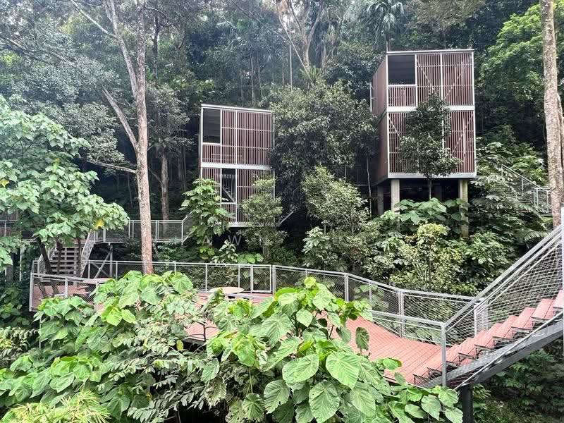 Kondominium untuk Dijual di Damansara Seresta - Shawn Kuan - PropertyGuru.com.my