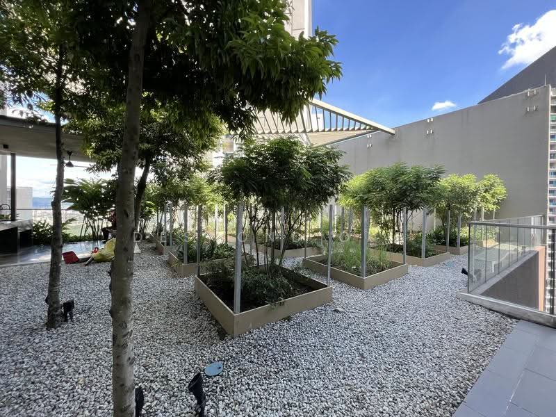 Service Residence for Rent at Stonor 3 - Desmond Ong - Garden - PropertyGuru.com.my