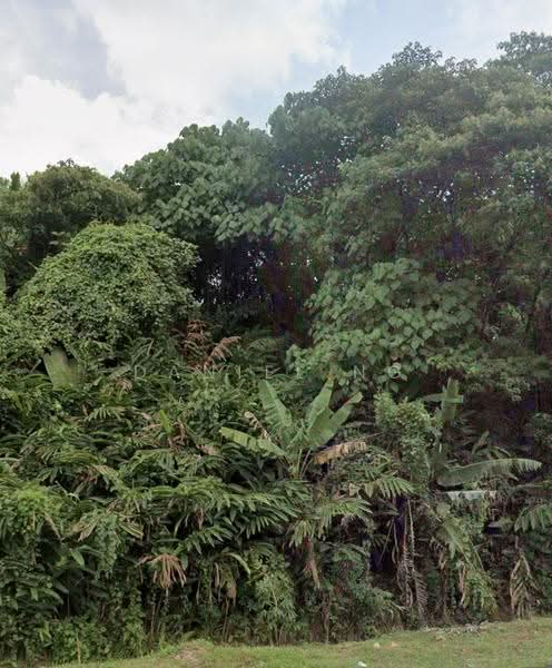 Agricultural Land for Sale in Kampung Sungai Chua (Kajang) - Daniel Ng - Exterior - PropertyGuru.com.my