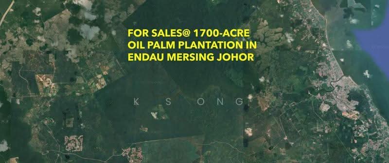 Tanah Pertanian untuk Dijual di Mersing (Johor) - K S Ong - PropertyGuru.com.my