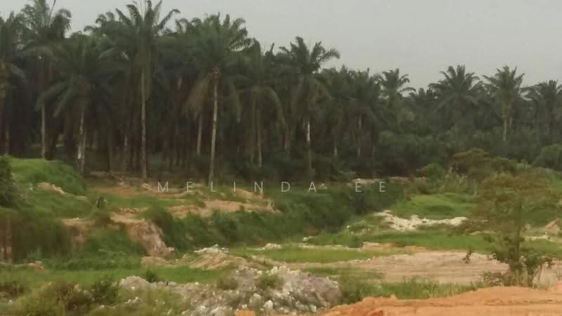 Tanah Pertanian untuk Disewa di Tanjung Kupang (Iskandar Puteri (Nusajaya)) - Melinda Ee - Exterior - PropertyGuru.com.my
