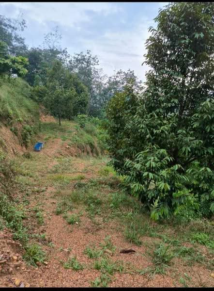 Agricultural Land for Sale in Segamat (Johor) - Allen Kee - PropertyGuru.com.my