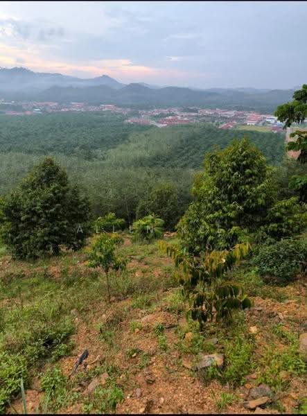 Agricultural Land for Sale in Segamat (Johor) - Allen Kee - PropertyGuru.com.my