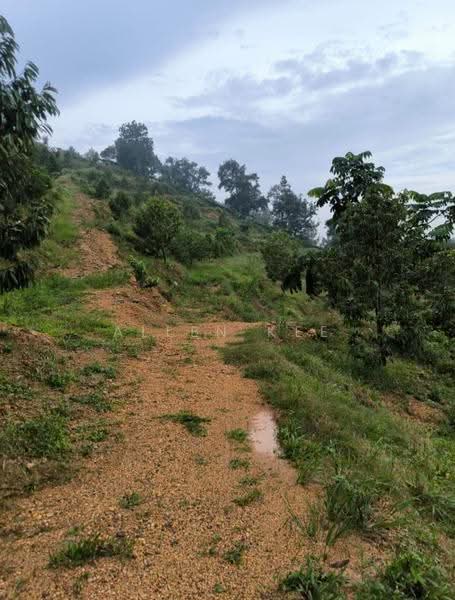 Agricultural Land for Sale in Segamat (Johor) - Allen Kee - PropertyGuru.com.my