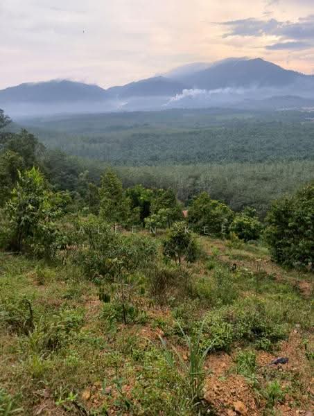 Agricultural Land for Sale in Segamat (Johor) - Allen Kee - PropertyGuru.com.my